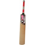 RS Robinson 20-20 English Willow Cricket Bat (SH)